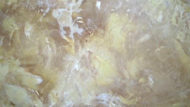 Background texture beige Venetian plaster. close-up. — Stock Video