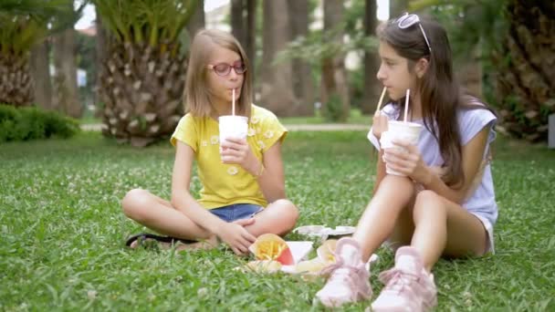 学生ピクニックコンセプト。2人の女の子のガールフレンドは、公園の草の上に座ってハンバーガーやフライドポテトを食べる — ストック動画