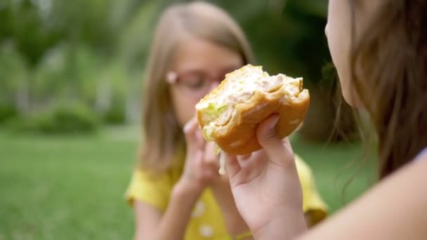 Pojetí studentů pikniků. dvě dívky jedí hamburgery a hranolky sedící na trávě v parku — Stock video