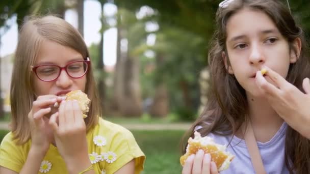 Conceito de piquenique estudantes. duas meninas namoradas comer hambúrgueres e batatas fritas sentadas na grama no parque — Vídeo de Stock