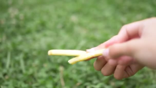 Nahaufnahme. Mädchen füttert Taube mit Händen Pommes — Stockvideo