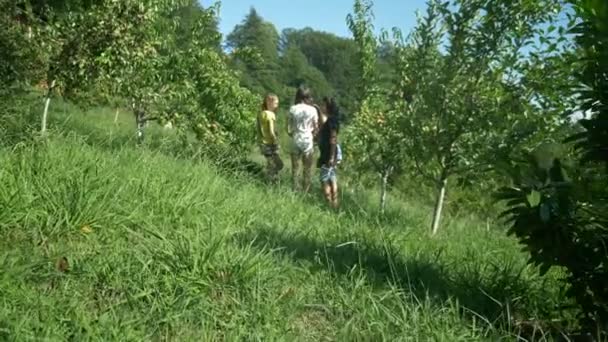 Şeftali bahçesinde yürüyen üç çocuk ile mutlu bir aile — Stok video