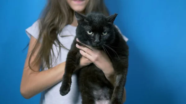 Evcil hayvan konsepti. siyah bir kibirli kedi tutan zayıf kız. sokak kavgaları kedi izleri. — Stok fotoğraf