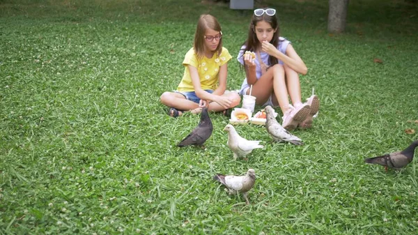Милые девушки сидят на траве в парке и кормят птиц картошкой фри — стоковое фото