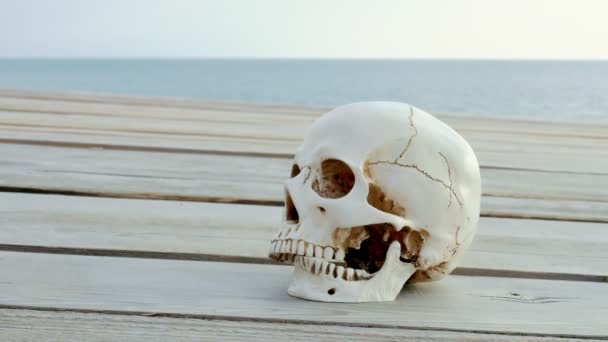 Menschlicher Schädel auf einer Holzterrasse mit Blick auf Meer und Himmel. Kopierraum — Stockvideo