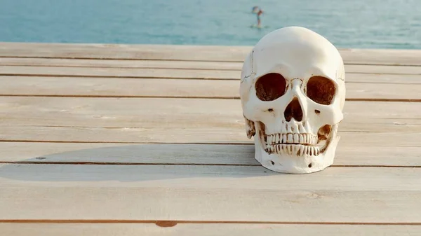 Ludzką czaszkę na drewnianym tarasie z widokiem na morze i niebo. miejsce kopiowania — Zdjęcie stockowe