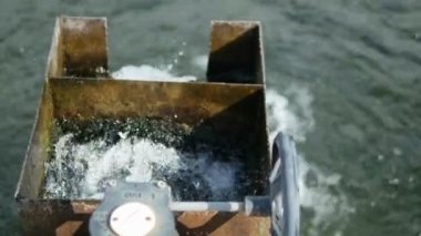 çok renkli, yapay yetiştirilen alabalık, beyaz, mavi bir alabalık çiftliğinde bir gölet.