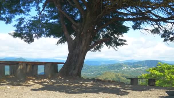 Bank onder een enorme dennenboom tegen de achtergrond van een groene bergvallei met blauwe hemel en wolken. ruimte kopiëren — Stockvideo