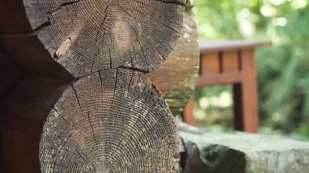 Крупный план, бревенчатая хижина деревянного дома в лесу — стоковое видео