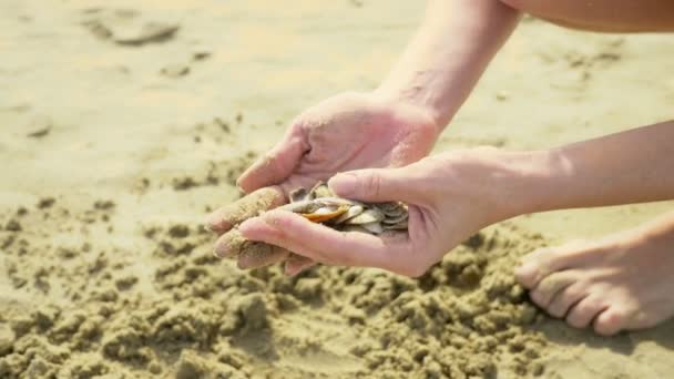 许多小贝壳在女性手中的海背景 — 图库视频影像