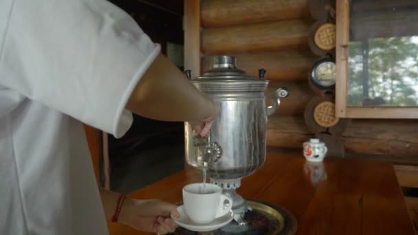 Närbild. utsikt från ryggen. någon häller kokande vatten i en kopp från en rysk Samovar — Stockvideo