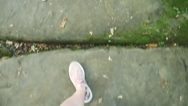 Pernas femininas em tênis rosa caminhar ao longo de um pavimento de paralelepípedos com grama e folhas caídas, vista em primeira pessoa — Vídeo de Stock