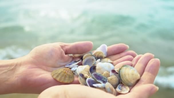 Muitas pequenas conchas em mãos femininas no fundo do mar — Vídeo de Stock