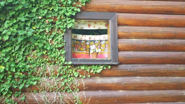 Grüne Efeumauer mit einem Fenster eines Holzhauses. Kopierraum — Stockfoto