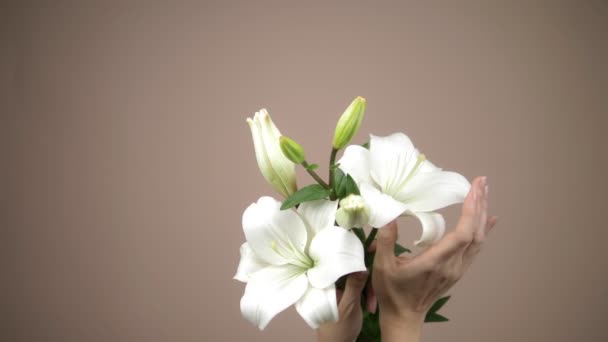 雌性的手在米色的背景上抚摩着一朵白百合花。 柔情和感觉。 复制空间 — 图库视频影像