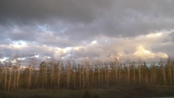 Θέα από το πλευρικό παράθυρο του αυτοκινήτου στο δάσος άνοιξη και σύννεφα βροντή — Αρχείο Βίντεο