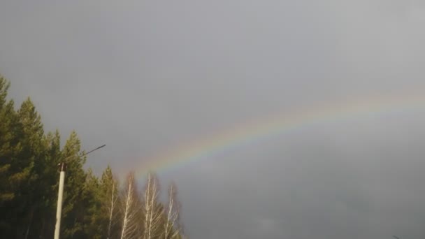 Regnbåge över skogen. utsikten från fönstret på en bil i rörelse — Stockvideo