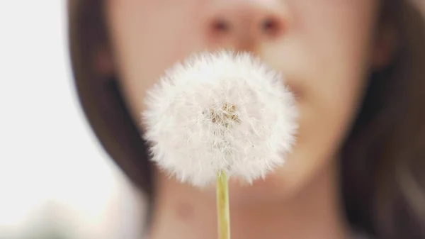Closeup. female lips blow on a white fluffy dandelion — Stock Photo, Image
