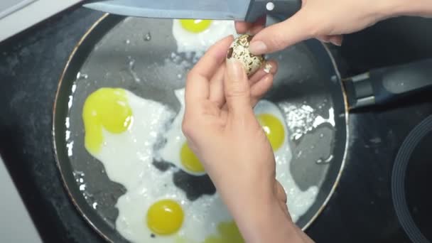 Κλείσε τα γυναικεία χέρια ετοίμασε τηγανητά αυγά από αυγά ορτυκιού. — Αρχείο Βίντεο