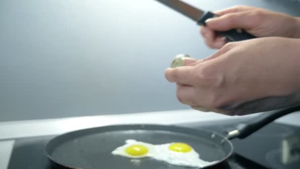 Close up female hands mempersiapkan telur goreng dari telur burung puyuh — Stok Video