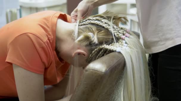 Closeup. hairdresser doing afro pigtails to a blonde girl — Stock Video