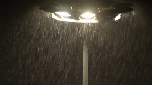 Gros plan d'un lampadaire la nuit sous la pluie. mauvais temps — Video