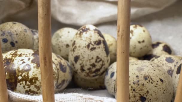 Súper cerca. los detalles de los huevos de codorniz en la cesta. diseño de alimentos — Vídeo de stock