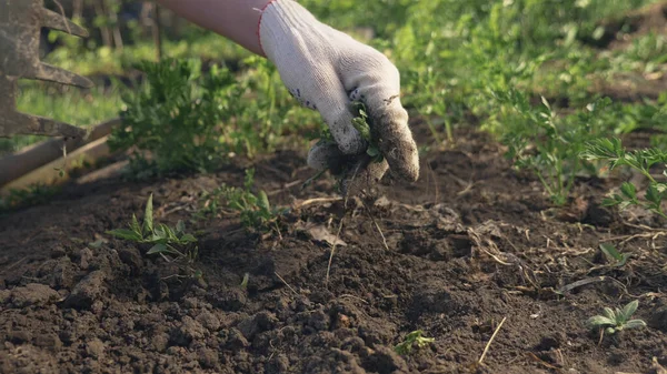 Yakın plan. Açık bir bahar gününde bahçedeki toprağı gevşetmek.. — Stok fotoğraf