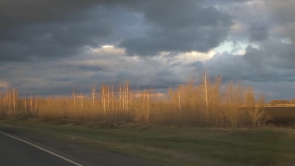 Kilátás az oldalsó ablakból a kocsi a tavaszi erdő és a mennydörgő felhők — Stock videók