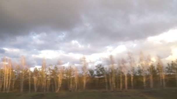 Blick aus der Seitenscheibe des Autos auf den Frühlingswald und die Gewitterwolken — Stockvideo