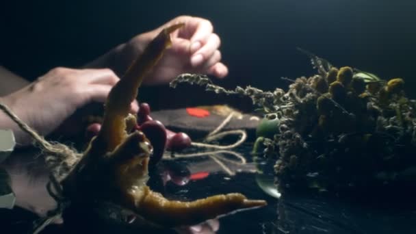 De près. rituel magique. mains féminines coller une aiguille dans une poupée vaudou — Video