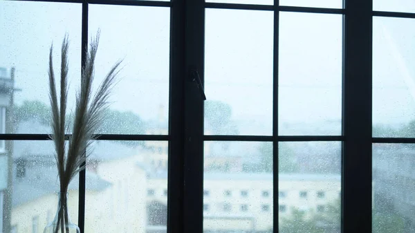 Okno, kytici suchých hrotů na parapetu. kapky deště na sklo s výhledem na město — Stock fotografie