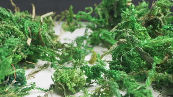 超接近!。人工緑の苔の詳細。装飾的背景 — ストック写真