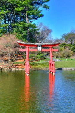 Brooklyn Botanik Bahçesi, New York City, ABD'de Japon Bahçesi.