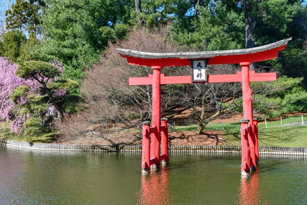 Japanse Tuin Brooklyn Botanic Garden New York City Verenigde Staten — Stockfoto