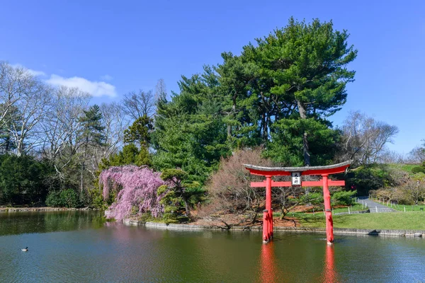 Japanese Garden Brooklyn Botanic Garden New York City — Stock Photo, Image