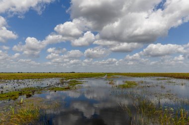 Florida sulak ABD'de Everglades Ulusal Park. Turistler, vahşi doğa ve hayvanlar için popüler bir yer.