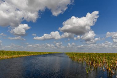 Florida sulak ABD'de Everglades Ulusal Park. Turistler, vahşi doğa ve hayvanlar için popüler bir yer.
