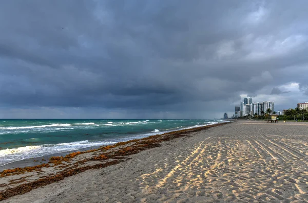 Hollywood Beach Florida Večer Jako Slunce Zapadá — Stock fotografie