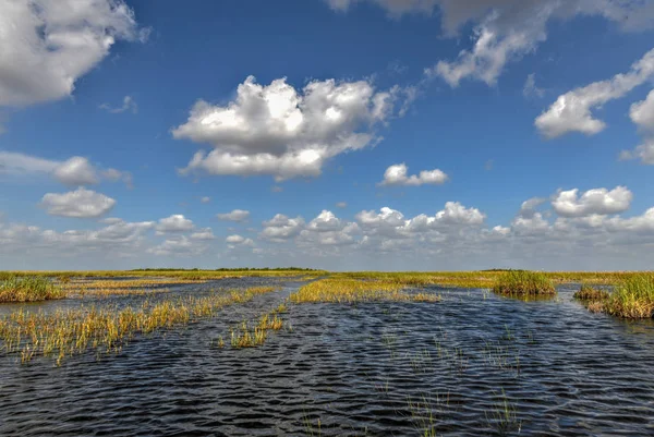 Florida sulak ABD'de Everglades Ulusal Park. Turistler, vahşi doğa ve hayvanlar için popüler bir yer.