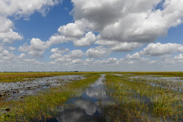 Φλόριντα Υδροβιότοπος Στο Everglades National Park Στις Ηπα Δημοφιλές Μέρος — Φωτογραφία Αρχείου