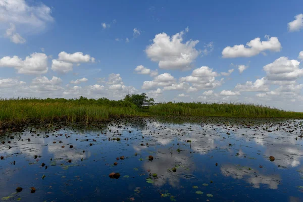 フロリダ州の湿地米国でエバーグレーズ国立公園内 野生の自然の観光客に人気の場所 — ストック写真