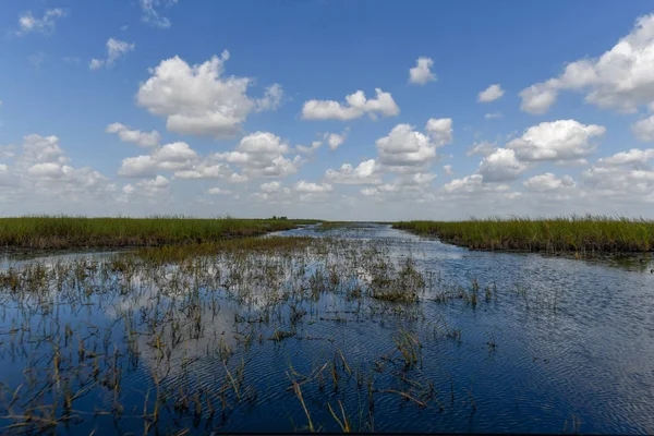 Humedal Florida Parque Nacional Everglades Estados Unidos Lugar Popular Para —  Fotos de Stock