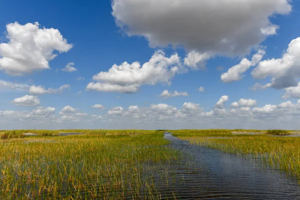 Φλόριντα Υδροβιότοπος Στο Everglades National Park Στις Ηπα Δημοφιλές Μέρος — Φωτογραφία Αρχείου