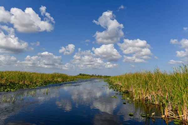 Florida Mocsári Everglades Nemzeti Park Amerikai Egyesült Államok Népszerű Hely — Stock Fotó