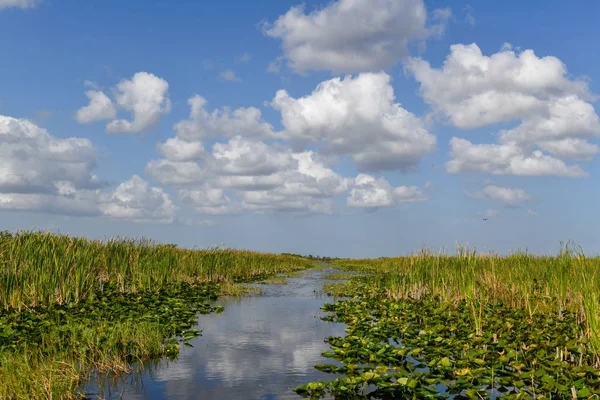 Florida Podmokłych Everglades National Park Usa Popularne Miejsce Dla Turystów — Zdjęcie stockowe