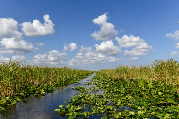フロリダ州の湿地米国でエバーグレーズ国立公園内 野生の自然の観光客に人気の場所 — ストック写真