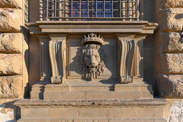 Close Lion Stucco Palazzo Pitti Old Palace Medici Family Florence — Stock Photo, Image