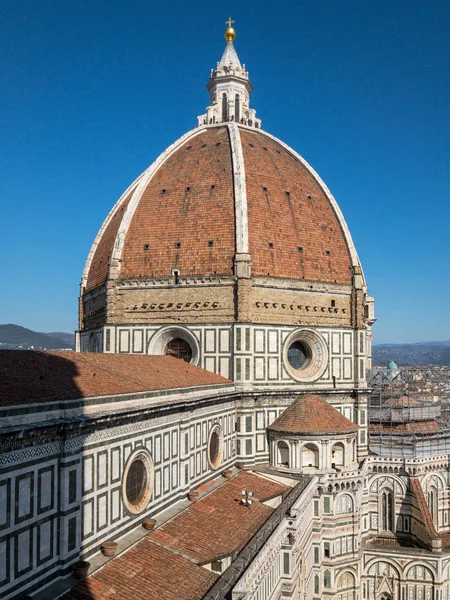 Florence Duomo Basilica Santa Maria Del Fiore Çiçek Aziz Mary — Stok fotoğraf