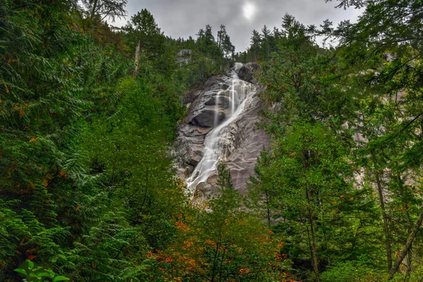 Shannon Falls Trzeci Najwyższy Wodospad Kolumbii Brytyjskiej Kanadzie Gdzie Woda — Zdjęcie stockowe